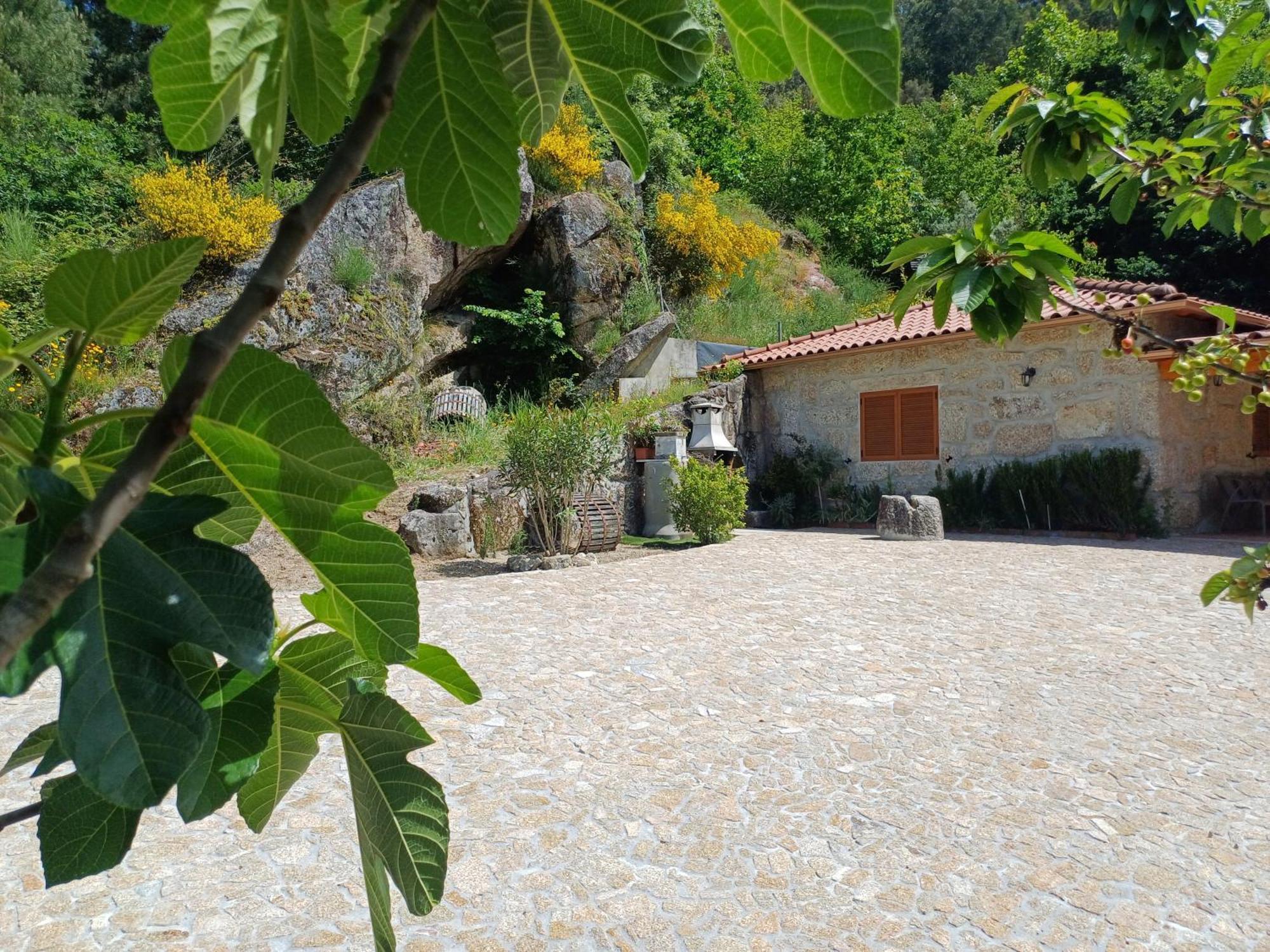 Villa Casa Da Fragoeira à Gandarela de Basto Extérieur photo